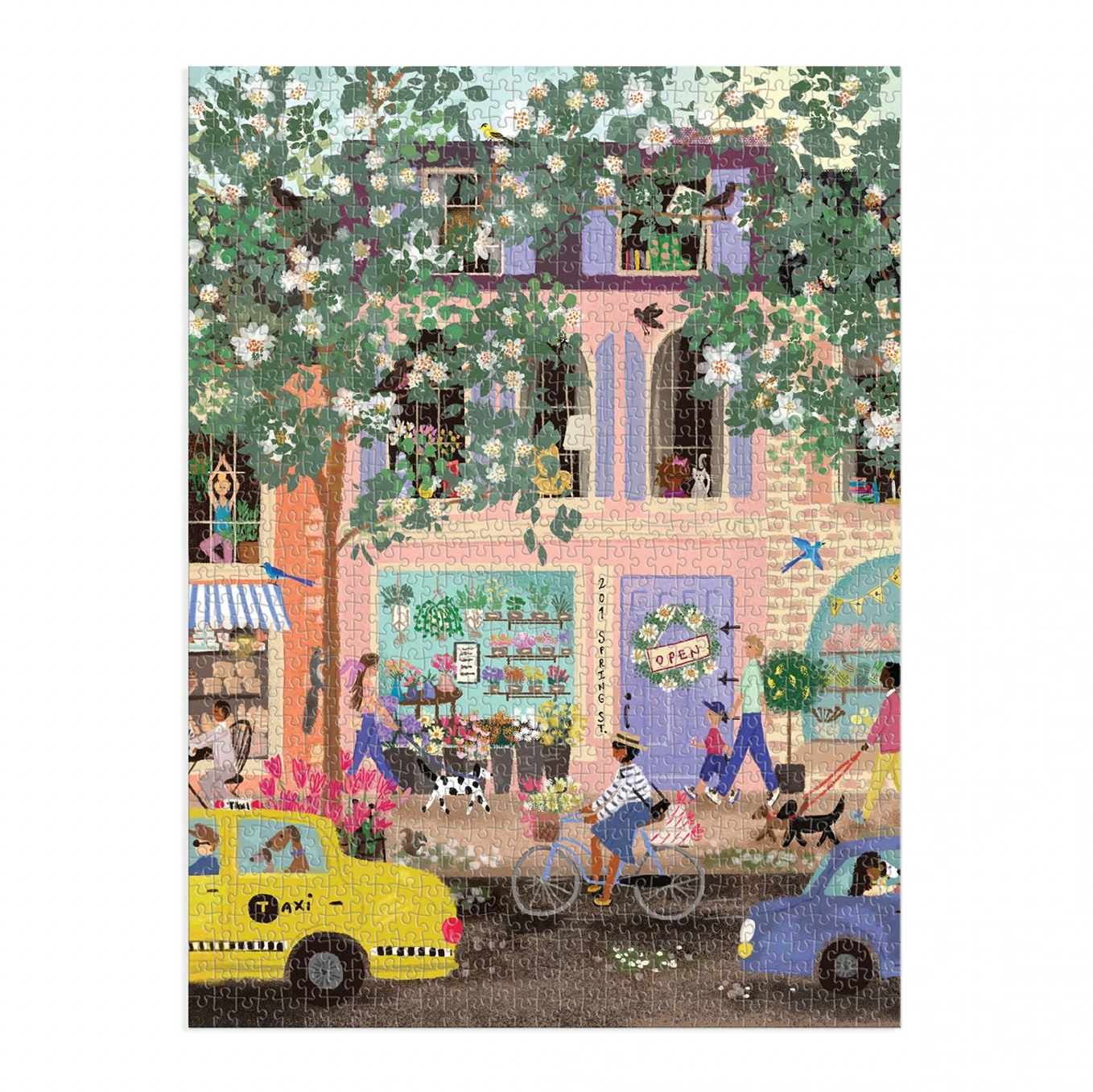 Spring Street Puzzle
