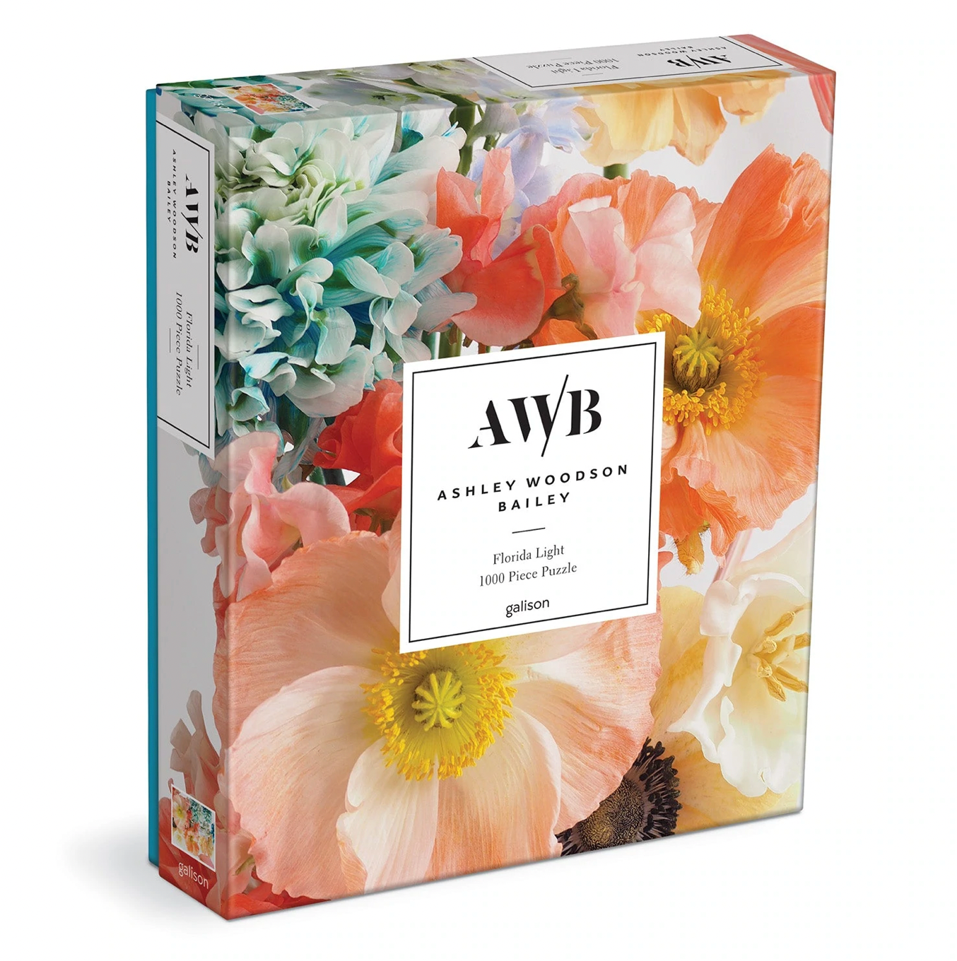 Ashley Woodson Bailey Florida Light Puzzle