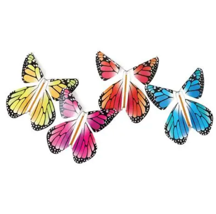 Magic Flying Butterfly Rainbow
